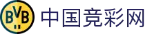 中国竞彩网 - 中国官方走势图表数据权威发布